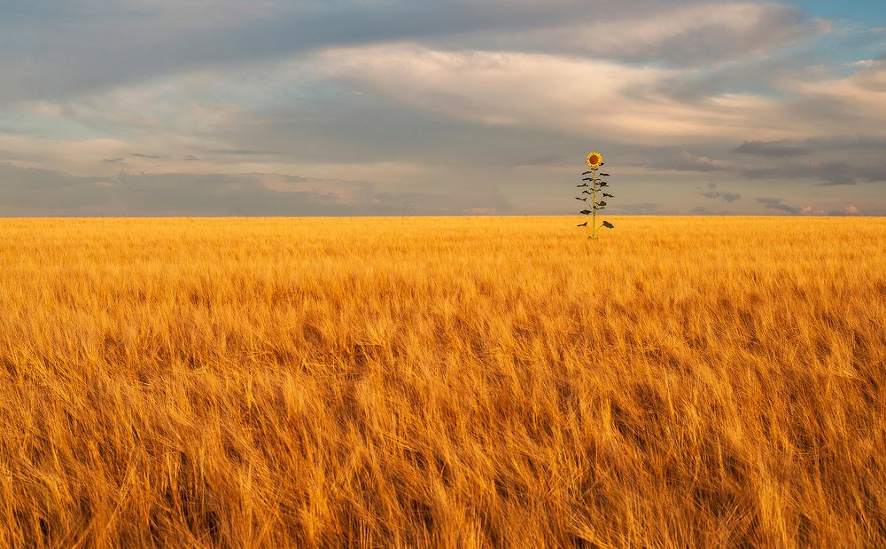 Photograph by Aeromast