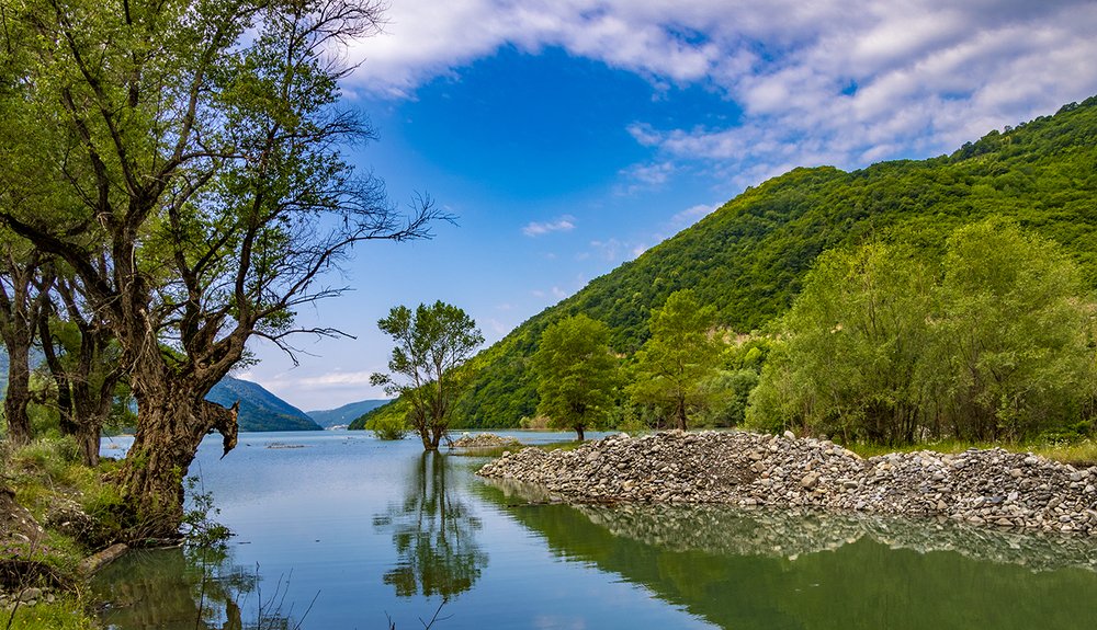 Photograph by Alex Kalpus