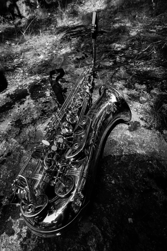 Photograph by Светлана Терехова