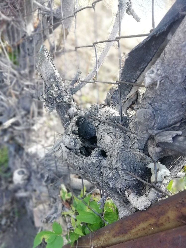 Photograph by Светлана Терехова