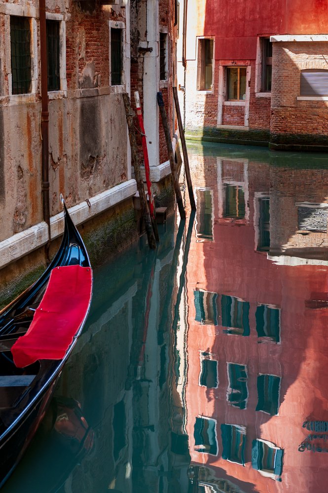 Forms and curves diversity