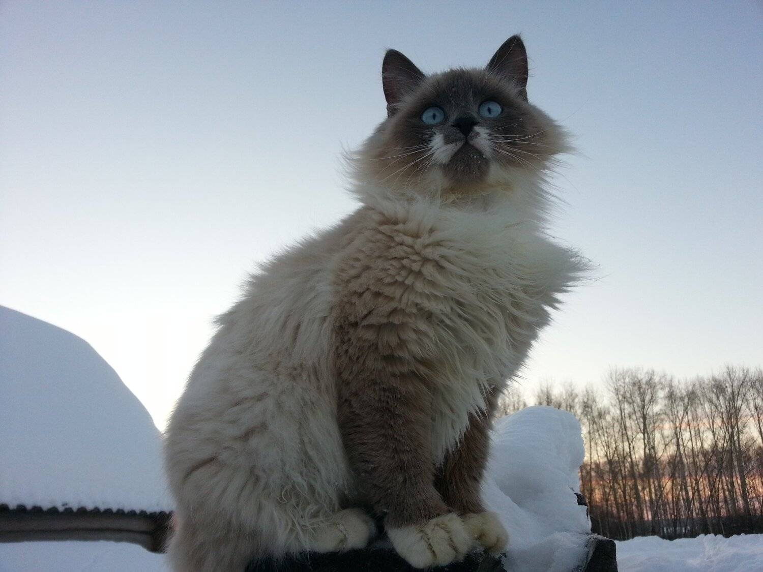Photo #3427375