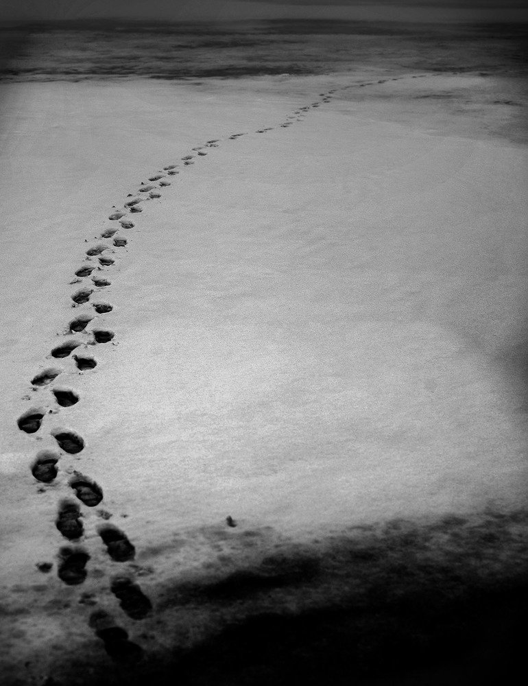 Photograph by Виктор Бойко