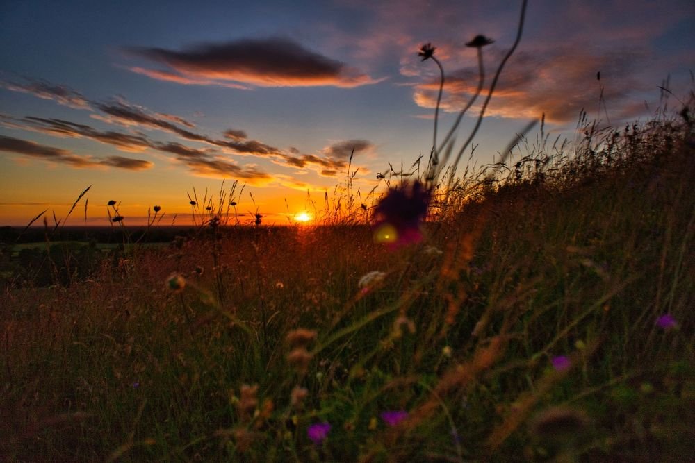 Photograph by Владислав Шигера