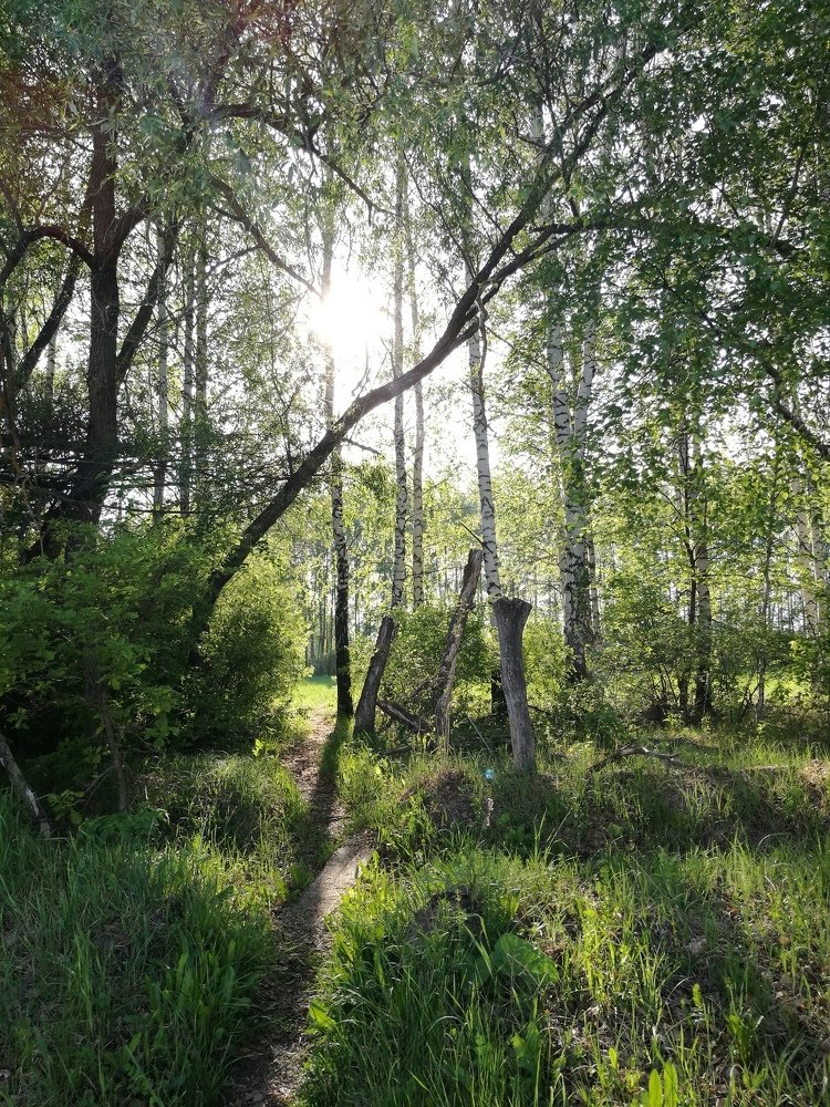 Photograph by Анна Фудина
