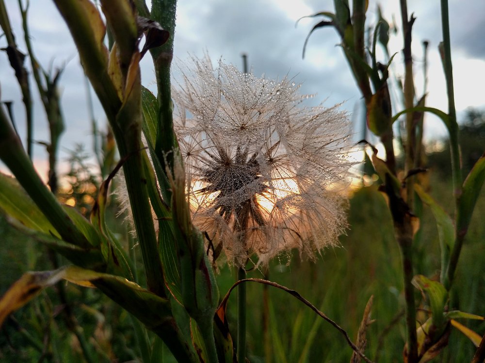 Photograph by Dzianis Mizhui