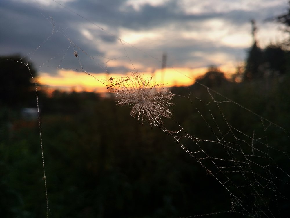 Photograph by Dzianis Mizhui