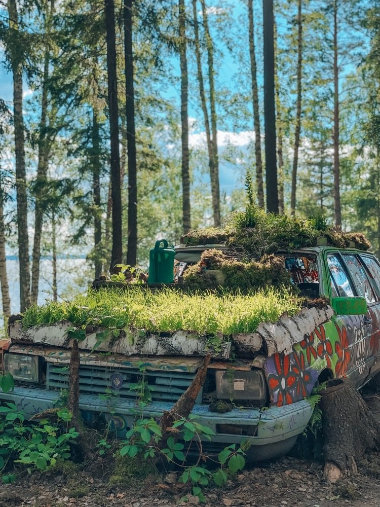 Слияние с природой