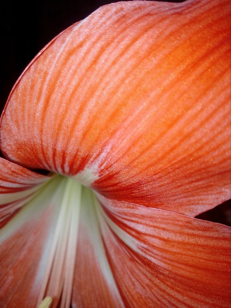 Photograph by Ирина Марченко