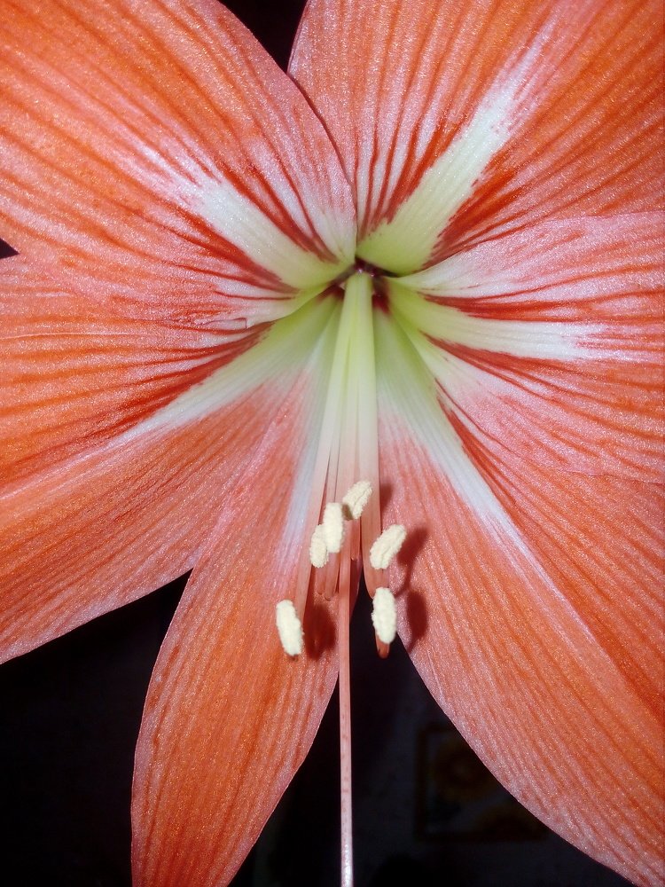 Photograph by Ирина Марченко