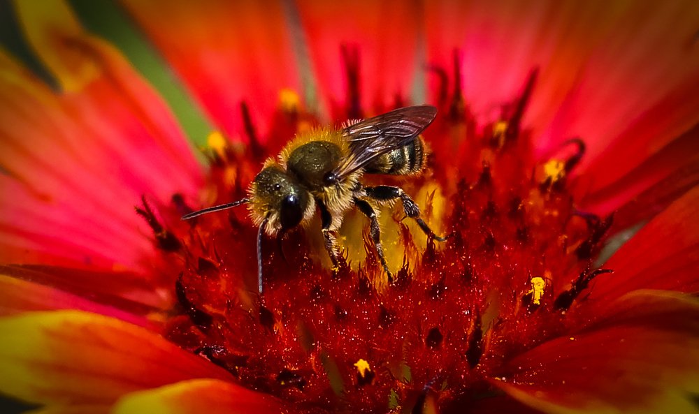 Photograph by iulia falo