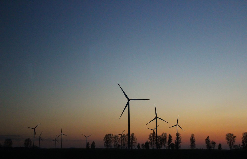 Photograph by iulia falo