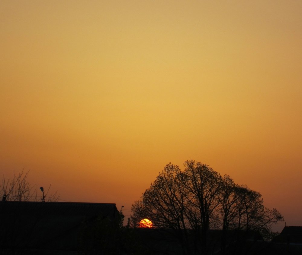 Photograph by iulia falo