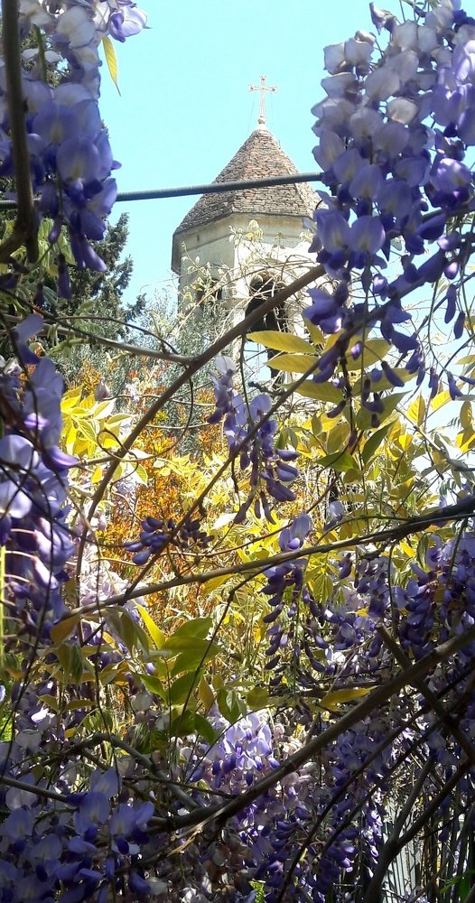 Весеннее цветение