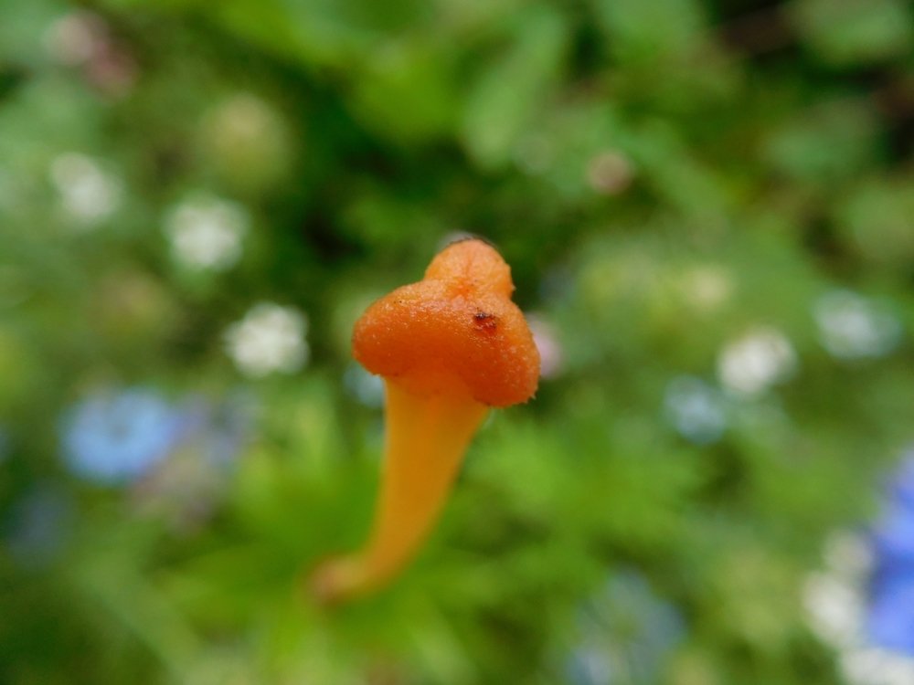 Photograph by Stepan Makhnickij