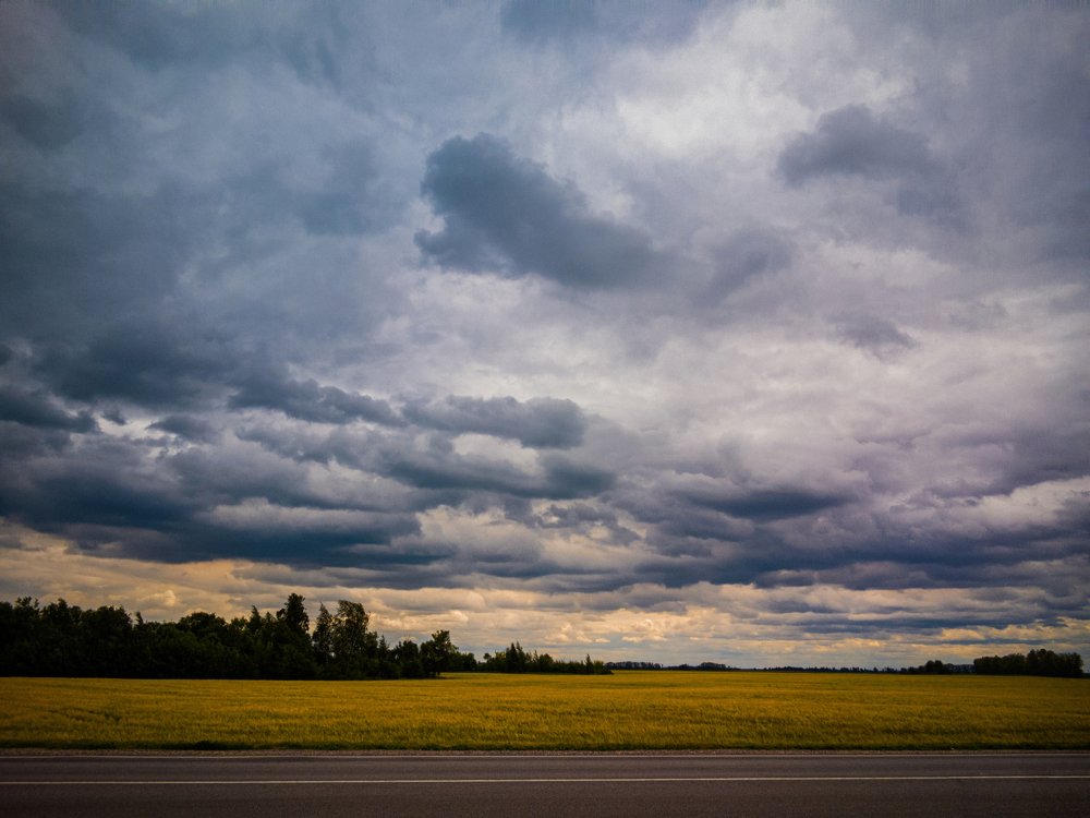 Фотография автора Тамара Нижельская