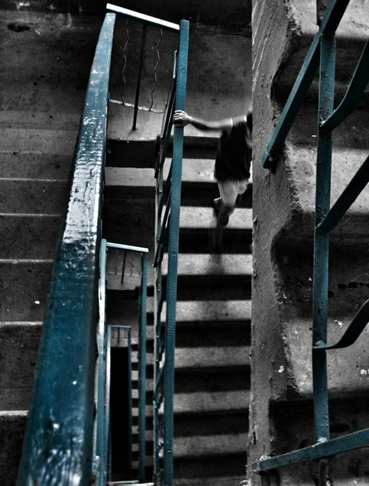 СХЕМА ЖИЗНИ