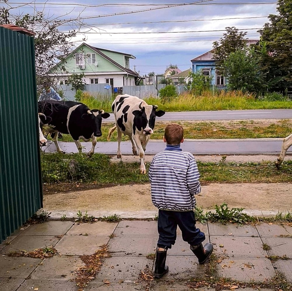 Отважный парень!)