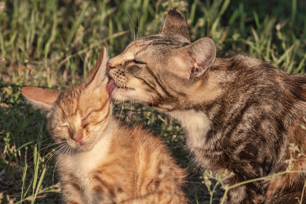 Photograph by Вадим К