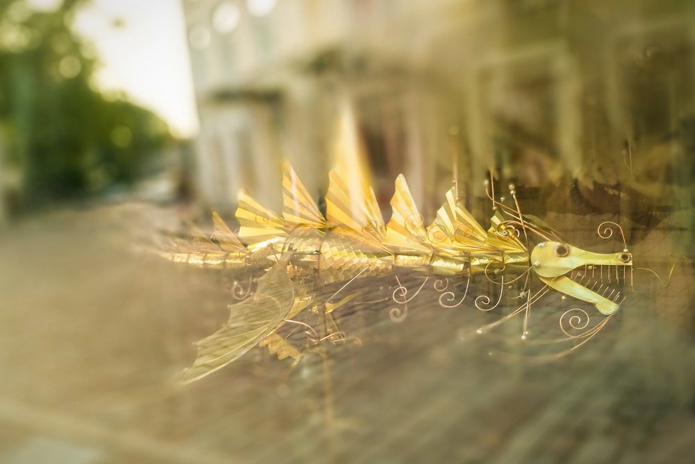 Photograph by Геннадий