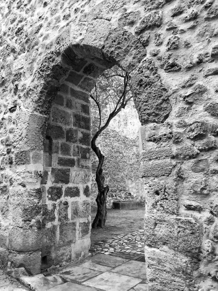 Photograph by Анастасия Ломаева