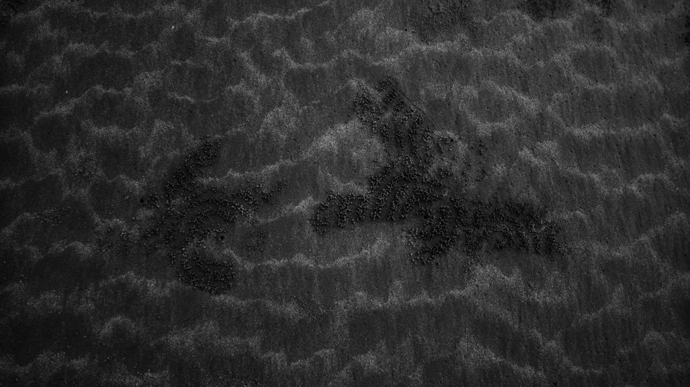 Nature is a great Artist