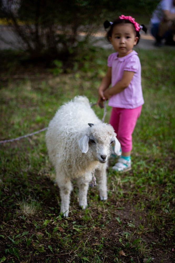 Photograph by Наталия Natius Ткачёва