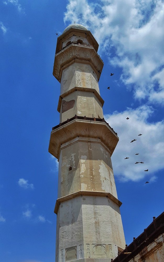 Good photo on the phone - mobile click