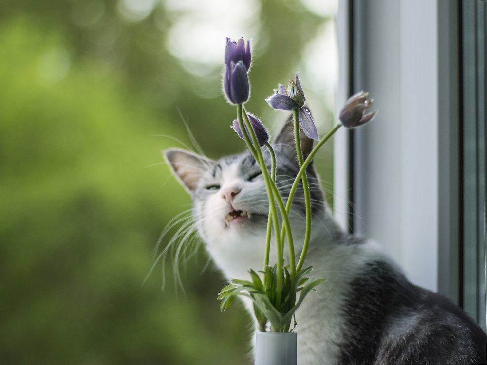 Photograph by Мария