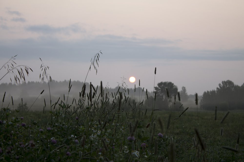 Рассвет сквозь дым