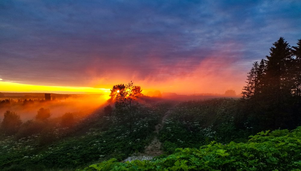 Туманный закат