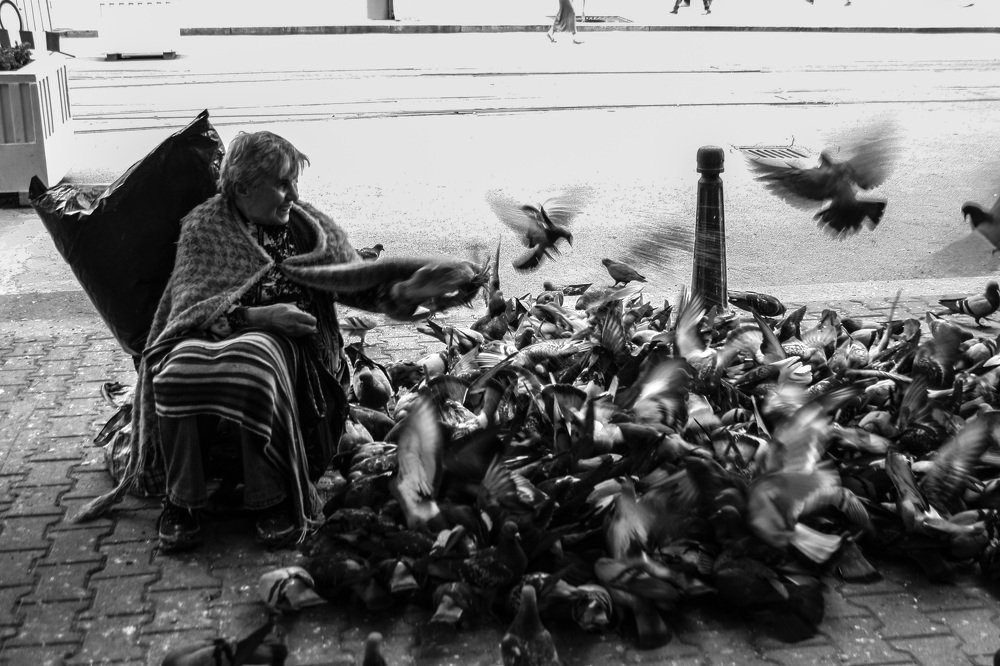 Pigeon lady