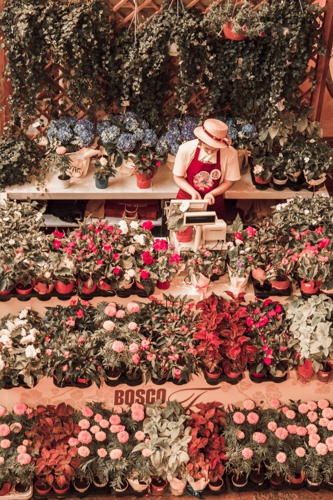 Photograph by Ольга Быкова