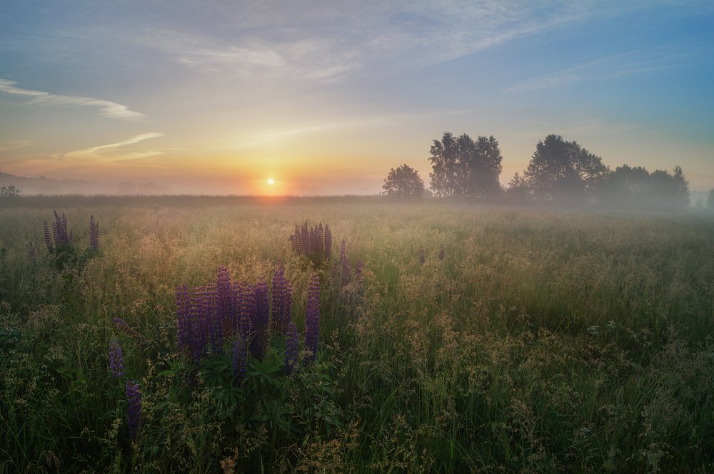 Владимирская сторона