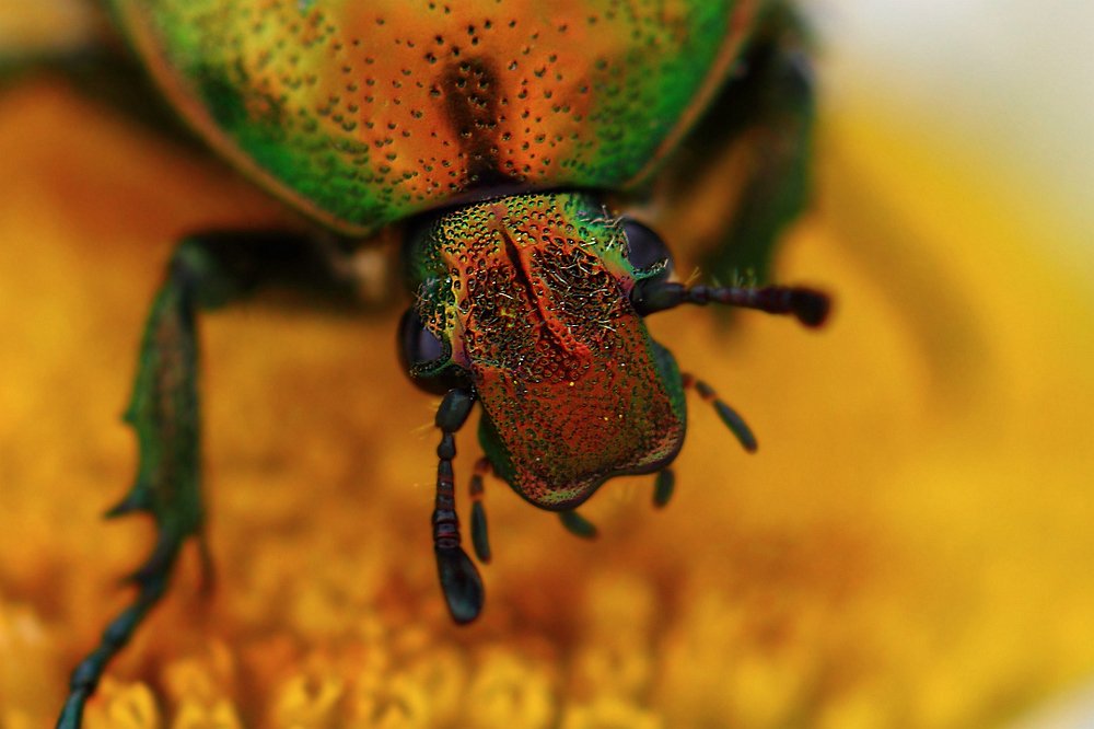 Добро пожаловать в мой скромный бар...