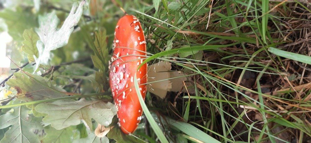 Photograph by Оксана