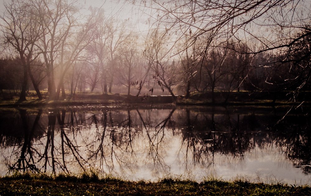 Photograph by iulia falo