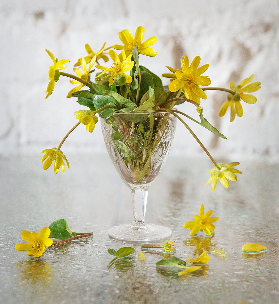 весенний ноктюрн