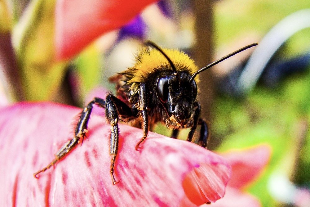 Photograph by Максим Воробьев