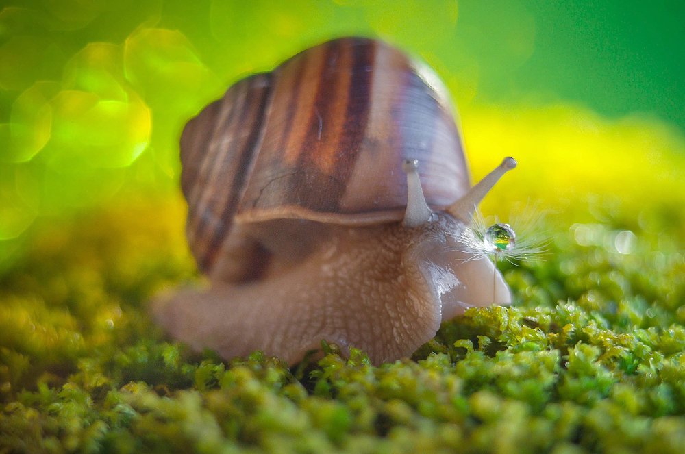 Photograph by Олеся