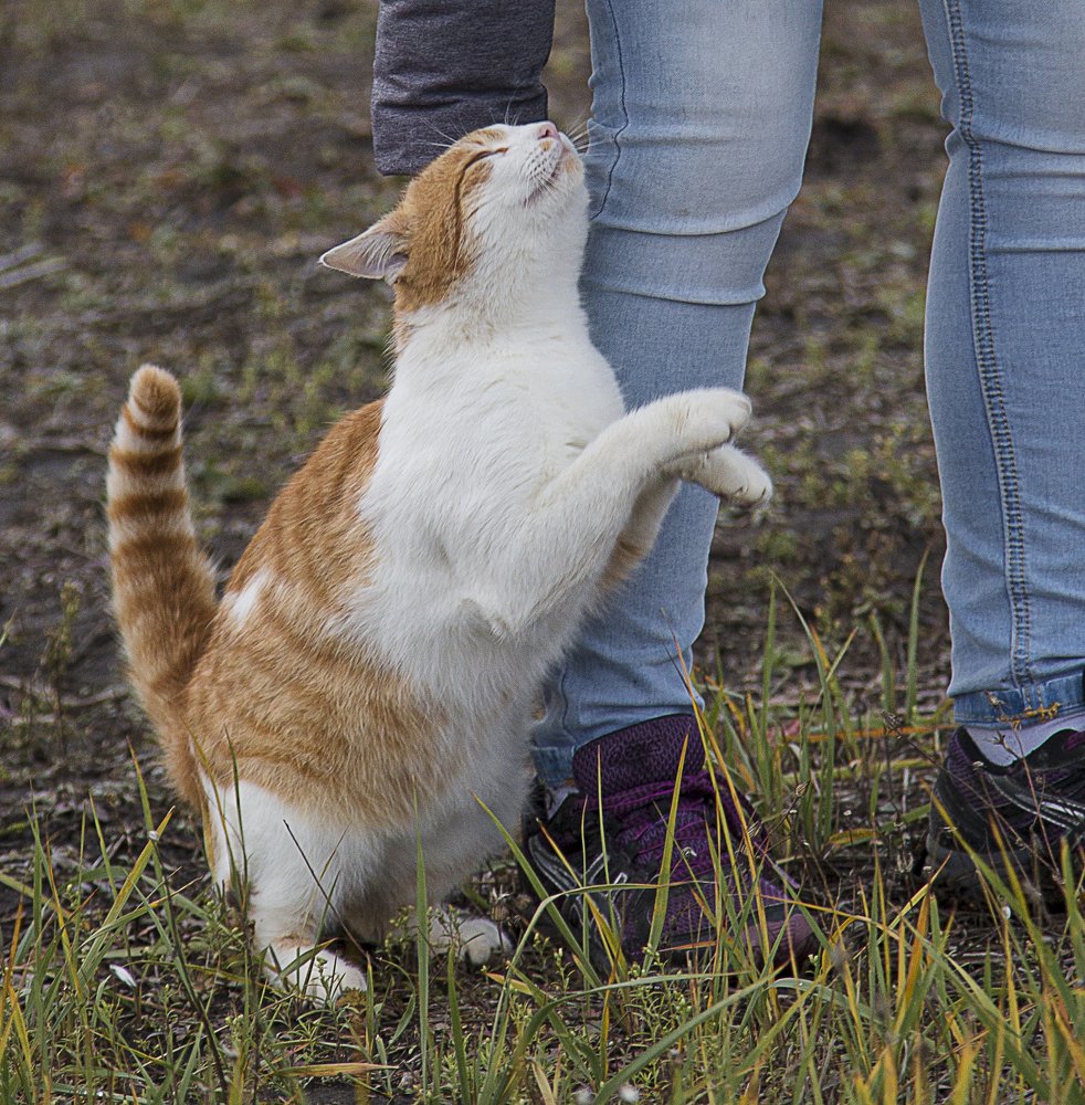 Любовь к людям