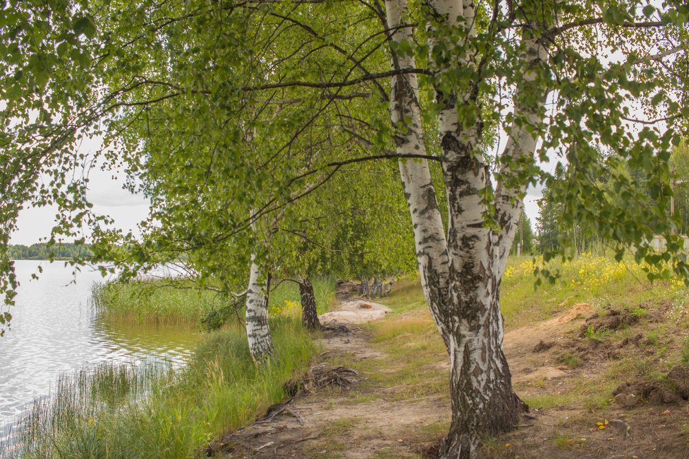 На берегу Белого озера