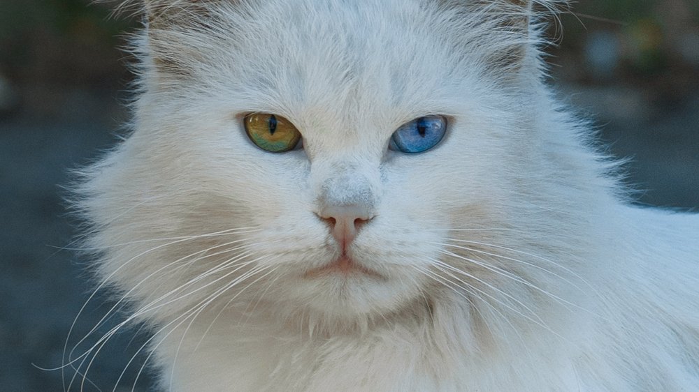 Photograph by Марина Егорова