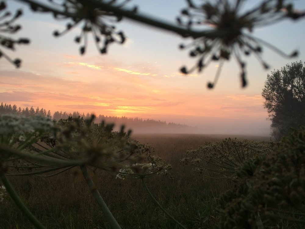Photograph by Анастасия Ломаева