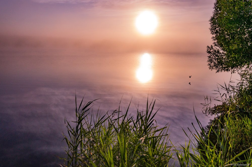 Утро на Орловском