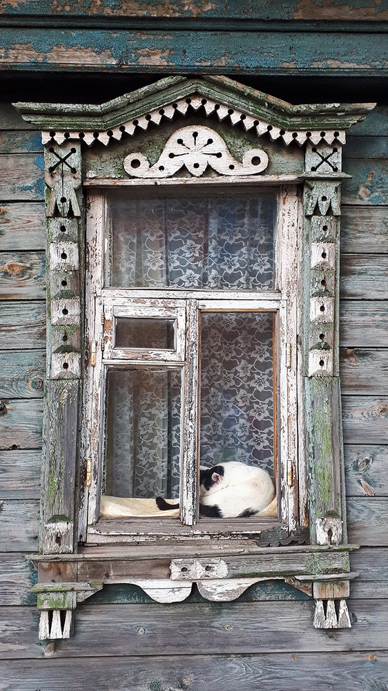 Photograph by Михаил Рассказ