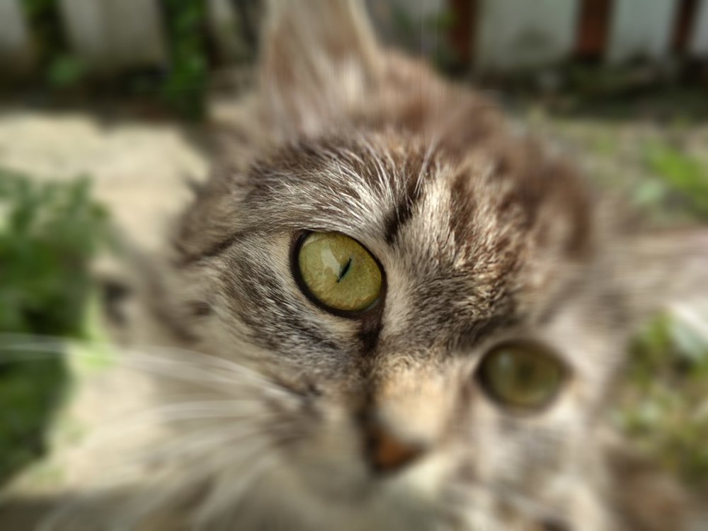 Photograph by Вадим Довбиш