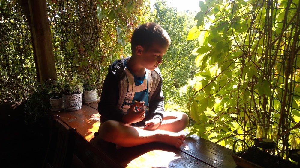 Photo #3429017