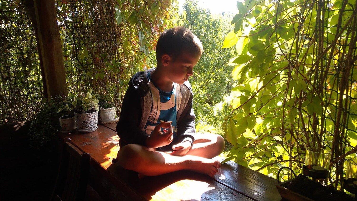 Photo #3429017