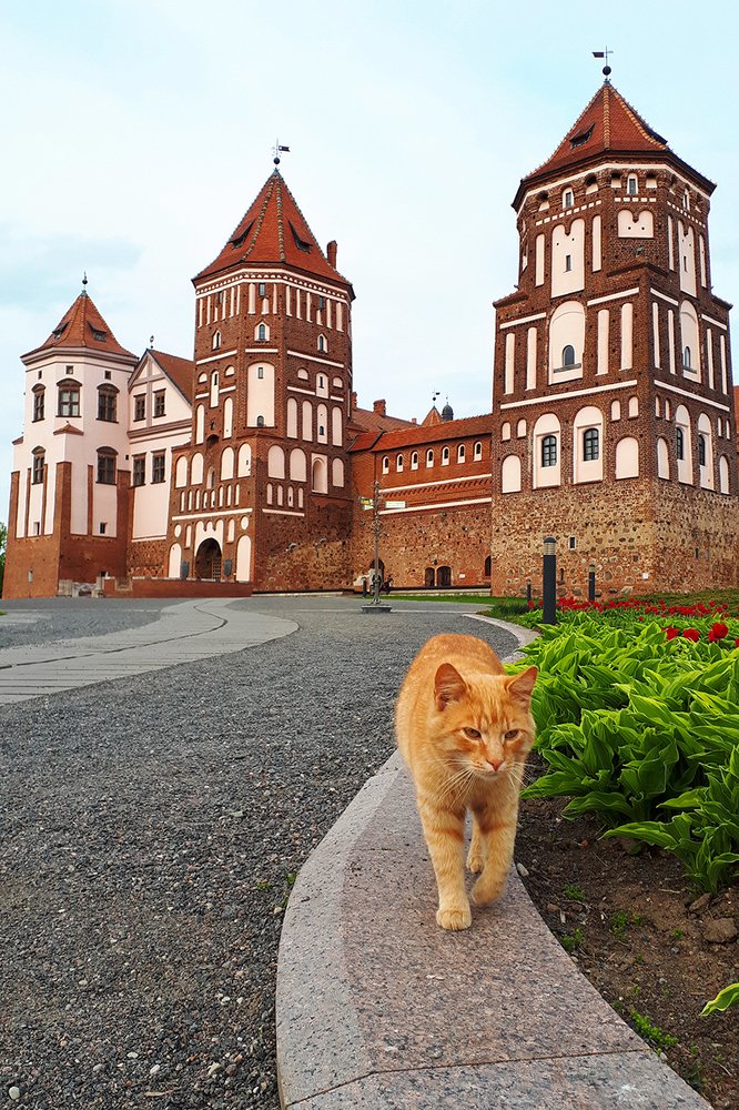 Photograph by Михаил Рассказ